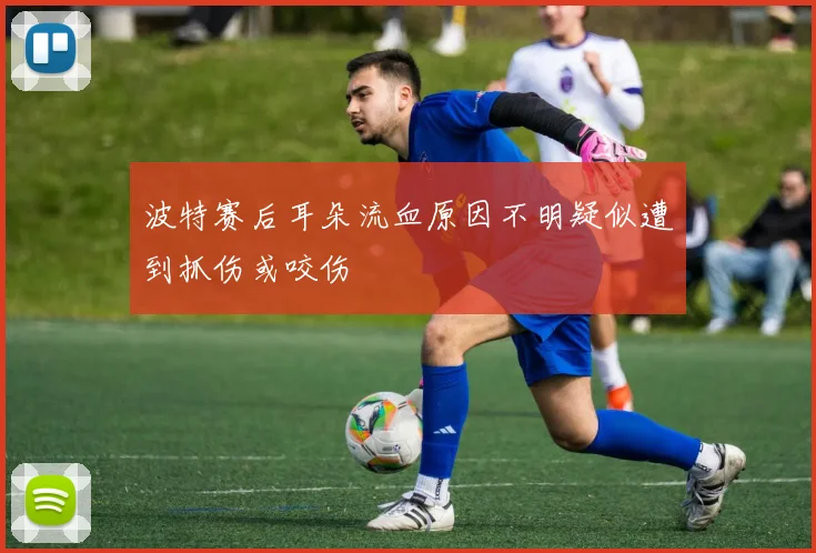 波特赛后耳朵流血原因不明疑似遭到抓伤或咬伤